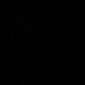 Meet your Posher, Darrius